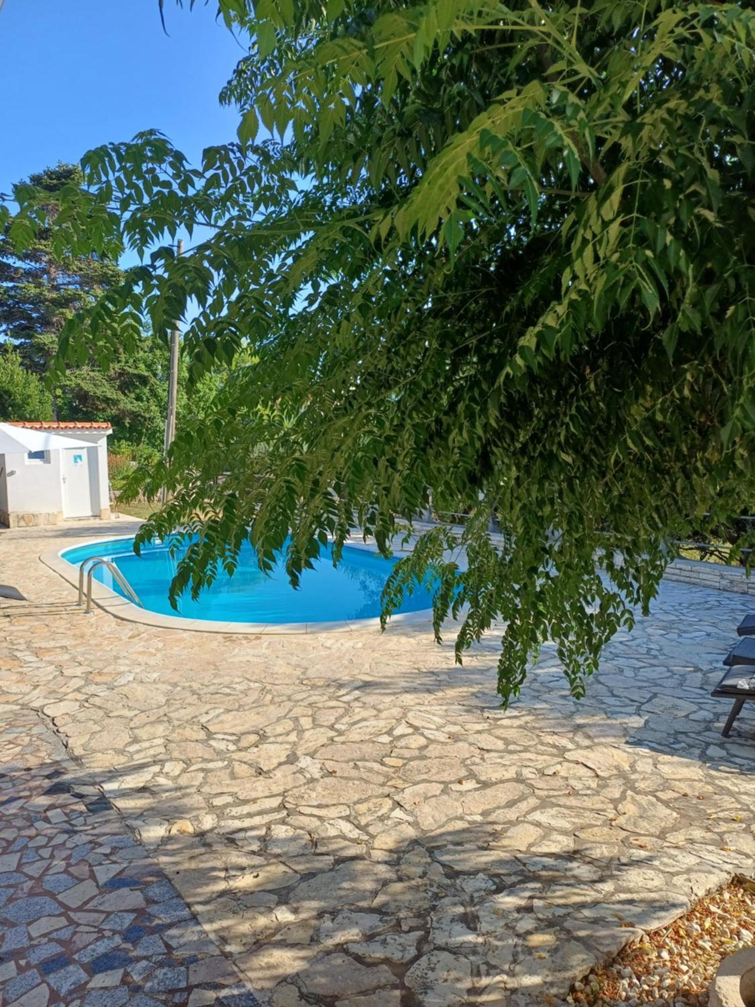 Bianca Appartement *